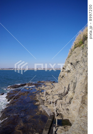 江の島 稚児ヶ淵付近の磯 江の島 稚児ヶ淵付近の磯 8997200