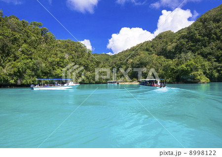 パラオのミルキーウェイ パラオのミルキーウェイ 8998122