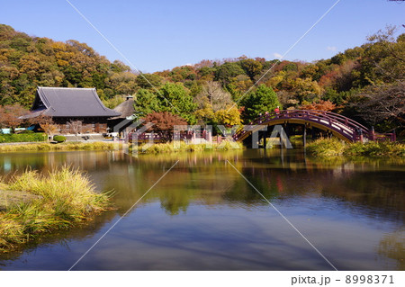 称名寺 称名寺 8998371