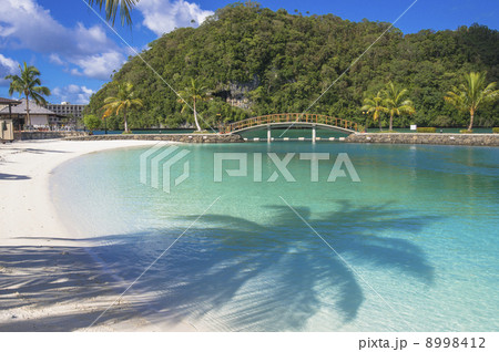 パラオのパラオ・ロイヤル・リゾート パラオのパラオ・ロイヤル・リゾート 8998412