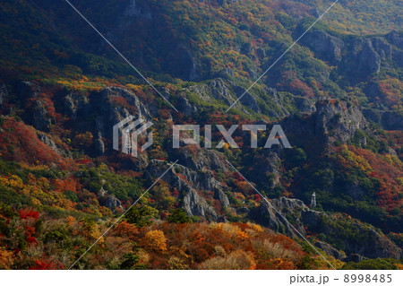 小豆島　秋の寒霞渓 8998485