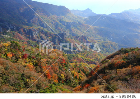 小豆島　秋の寒霞渓 8998486