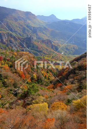 小豆島　秋の寒霞渓 8998487