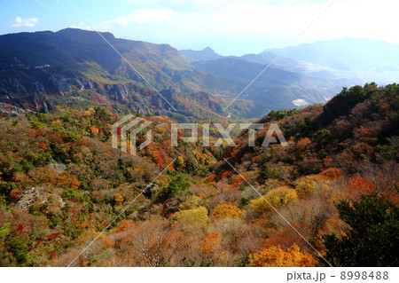 小豆島　秋の寒霞渓 8998488
