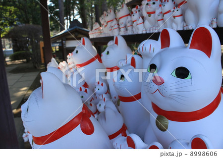 招き猫、猫、猫塑像 招き猫、猫、猫塑像 8998606