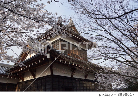 大和郡山城址公園　追手向櫓 8998617