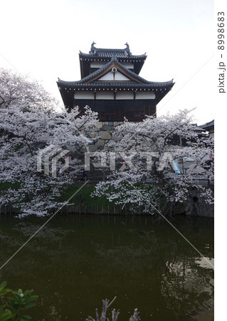 大和郡山城址公園　追手向櫓と堀 8998683