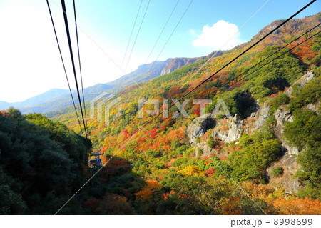 小豆島　秋の寒霞渓 8998699