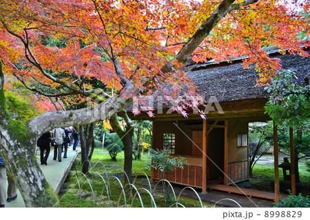 秋の九年庵 秋の九年庵 8998829