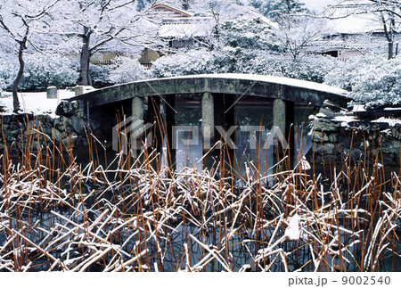 京都　天竜寺　冬の放生池 9002540