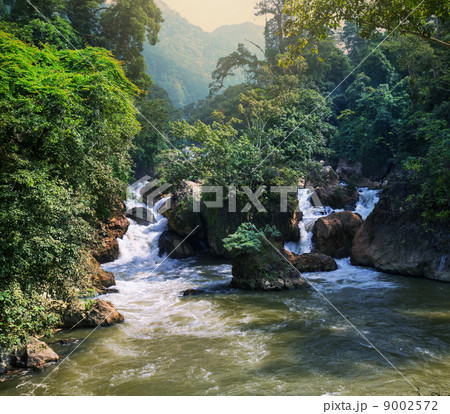 River in Vietnam 9002572