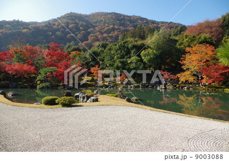 天龍寺庭園 9003088