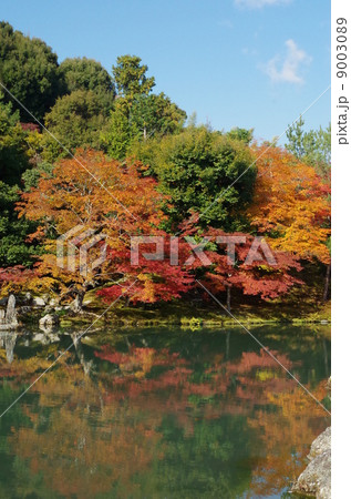 天龍寺庭園 9003089