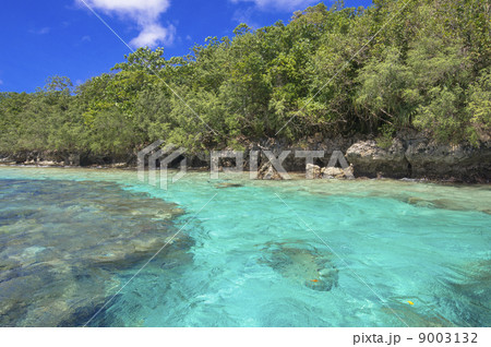 パラオのシュノーケリングポイント 9003132