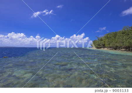 パラオのシュノーケリングポイント 9003133