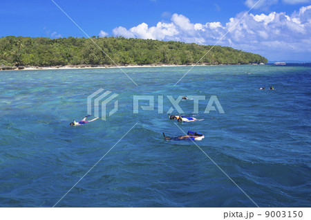 パラオのシュノーケリングポイント 9003150