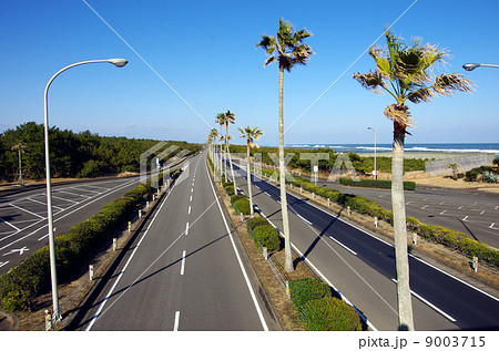 1ツ葉PAからの眺め 1ツ葉PAからの眺め 9003715