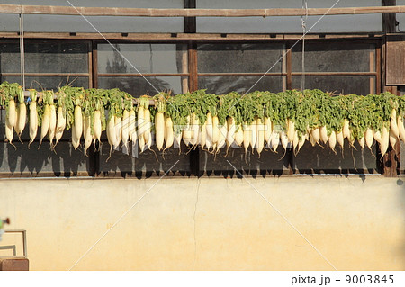 民家の干し大根 民家の干し大根 9003845