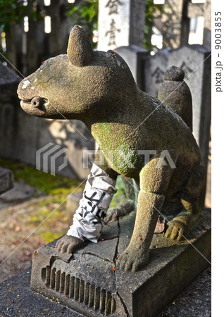 満足稲荷神社の狛狐像(吽形)（京都市左京区東大路仁王門下ル東門前町） 9003855