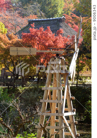 紅葉と風車 紅葉と風車 9006343