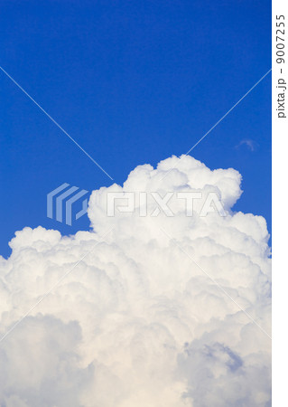 夏雲と青空 夏雲と青空 9007255