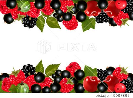 Background with fresh berries and cherries. Vector illustration 9007395