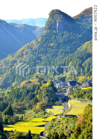 宇佐のマチュピチュ 宇佐のマチュピチュ 9007622