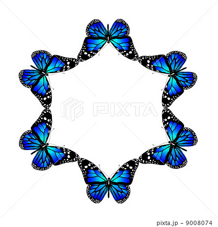 butterflies are coupled in a circle 9008074