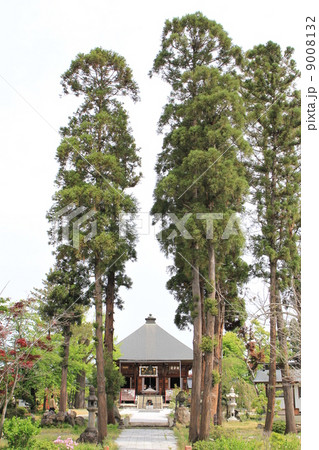 吉祥院 9008132