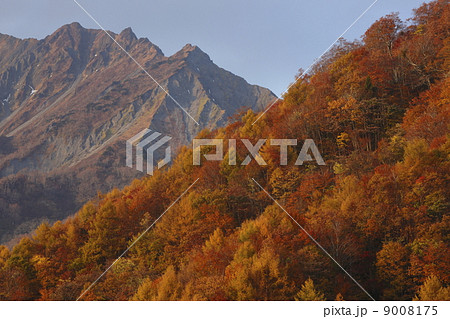 大山 大山 9008175