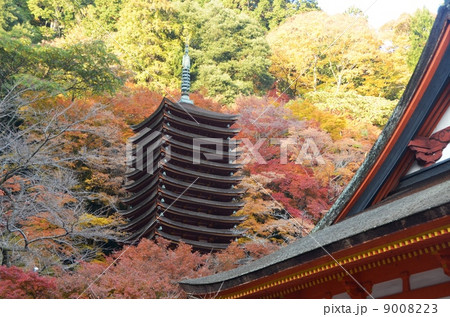 紅葉に埋もれる談山神社 9008223