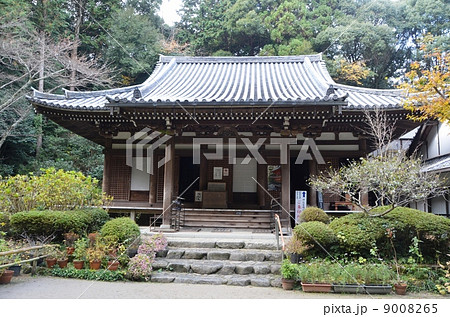 京都花の寺・岩船寺 9008265