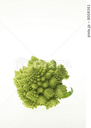 食べ物、ロマネスコ 9008361
