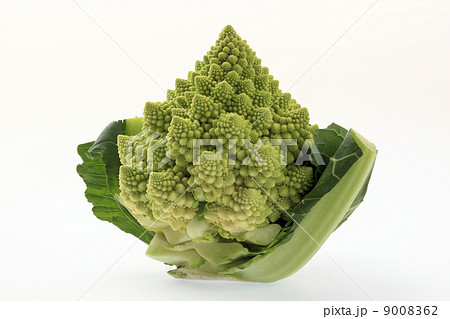 食べ物、ロマネスコ 9008362