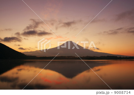 朝の富士山 9008714