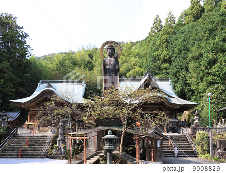 四国霊場第35番札所「清瀧寺」本堂と大師堂、薬師如来立像 9008829