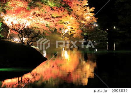 栗林公園南庭 南湖南岸 楓岸 紅葉のライトアップと遊覧の和船の写真素材