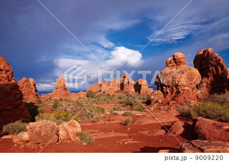 Red Desert Red Desert 9009220