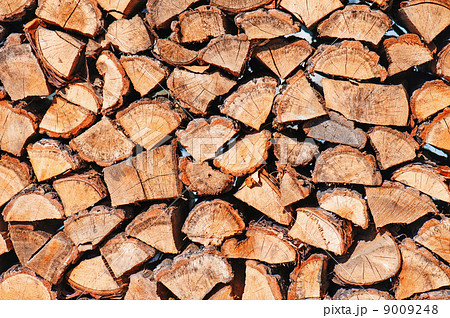 woodpile from dry oak logs 9009248