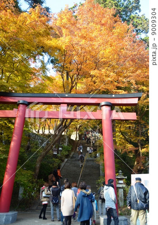 紅葉に埋もれる談山神社 紅葉に埋もれる談山神社 9009304