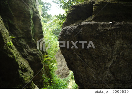 名越切通し「大空洞（おおほうとう）」 9009639