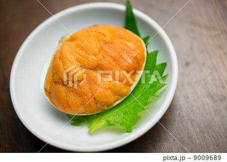 ウニの貝焼き ウニの貝焼き 9009689