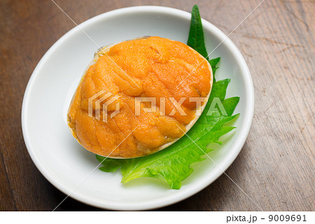 ウニの貝焼き ウニの貝焼き 9009691
