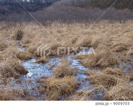 秋の釧路湿原 9009703