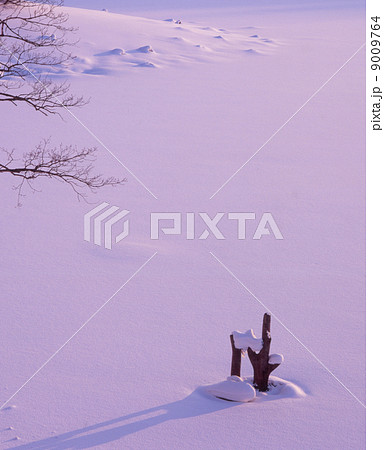 夕映えの桧原湖 9009764