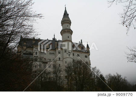 ノイシュヴァンシュタイン城　白鳥城　ドイツ 9009770