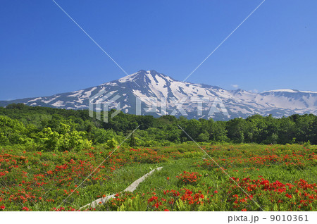 桑ノ木台湿原から望む鳥海山 9010361