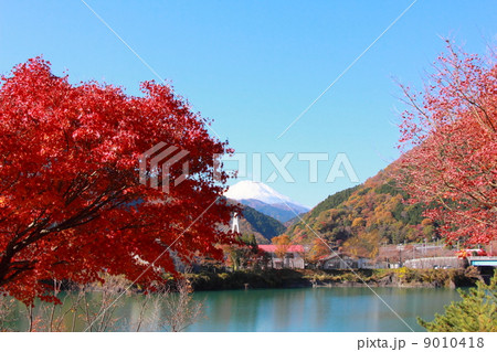 富士山と水辺の紅葉 9010418