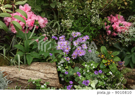 花壇 花壇 9010810