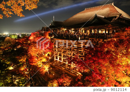ライトアップ・清水寺の紅葉 ライトアップ・清水寺の紅葉 9012114